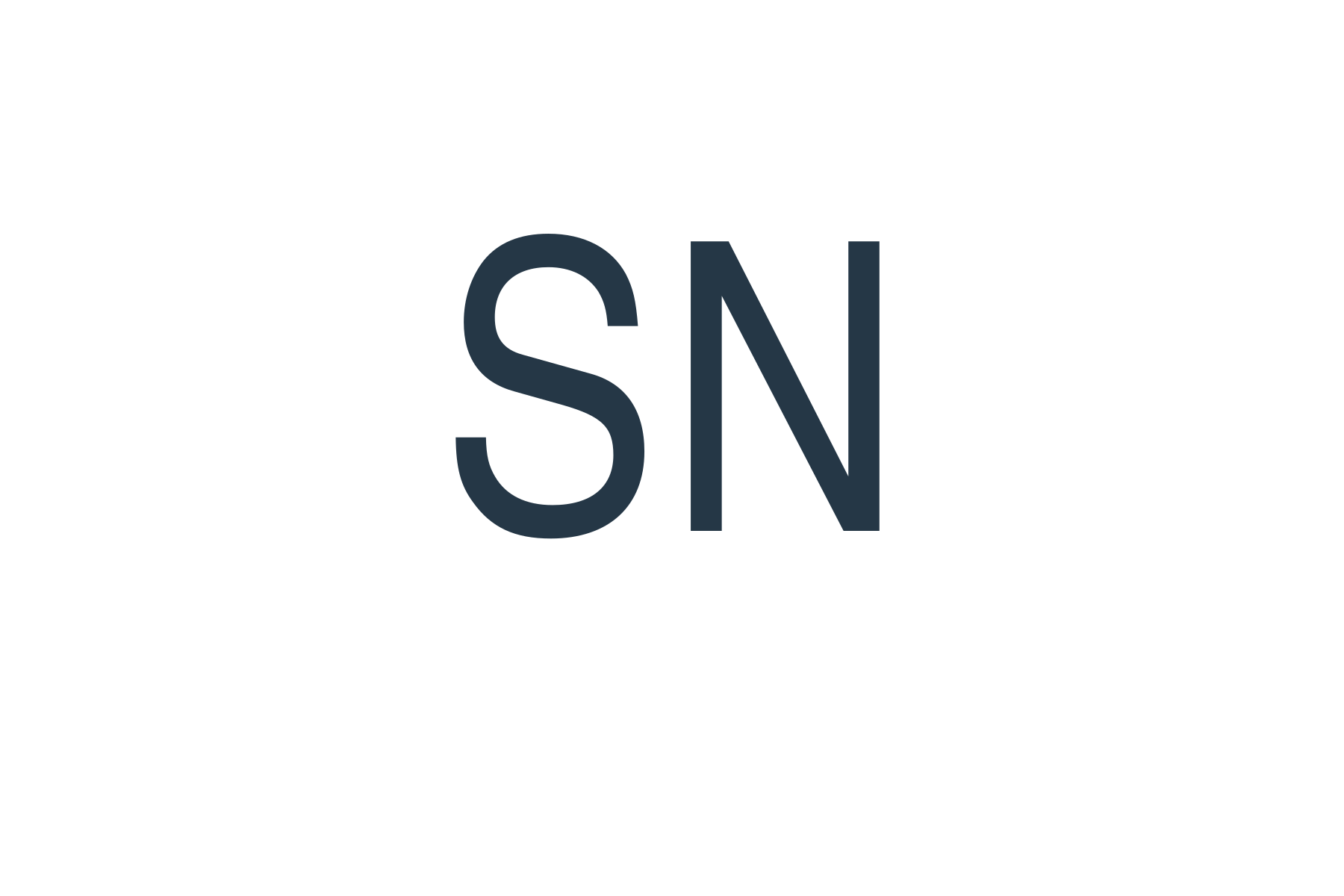 Sandy Nash logo